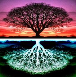 Tree of Life