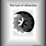 The Law of Attraction program by Bodie McCoy