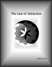 The Law of Attraction program by Bodie McCoy